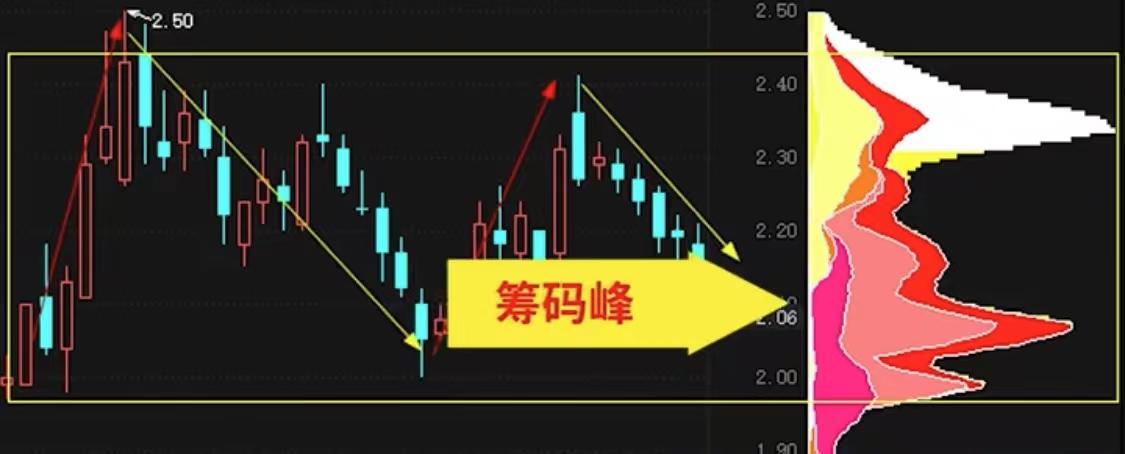 Nguyên Phó Chủ tịch nước Nguyễn Thị Bình và các đại biểu trong buổi gặp mặt.
